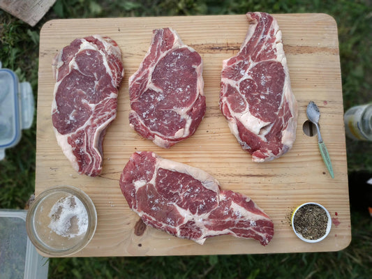 Seasoning Guide for Beginners