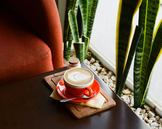 What Makes a Perfect Home Café Experience?