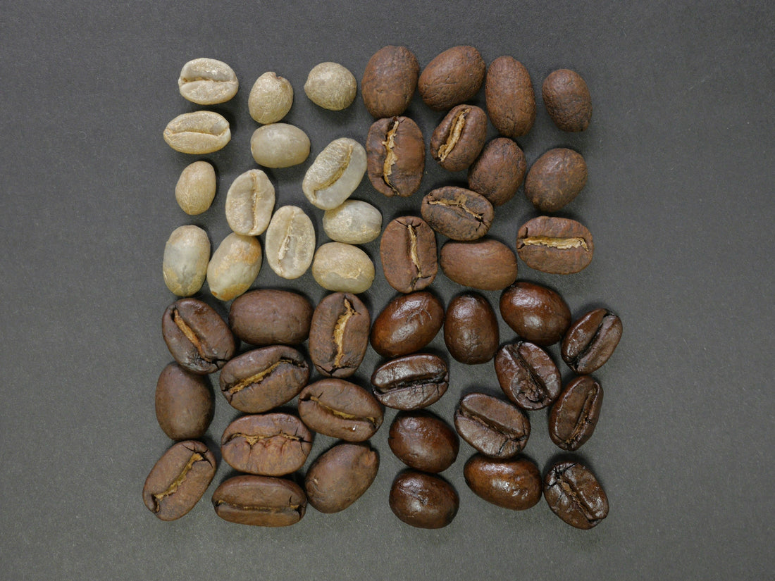 Understanding Coffee Beans: What Really Matters