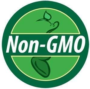 Non GMO Dwarf Sunspot Sunflower Seeds (Helianthus annuus) (50 Lbs)