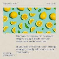Obrilo Water Enhancer Liquid Flavoring Drops - ZERO Sugar/Calorie, Dye Free, Naturally Flavored Drink Syrup, 2.0 fl oz x 2 Bottles for Kids & Adults (Lime Refresh)