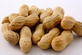 Gurley's Premium Peanuts In-Shell, Fire Roasted & Salted In Shell Peanut, Bulk Party Pack, 10 lb Box ??Dry Roasted Peanuts Salty Snack for Events & Gatherings