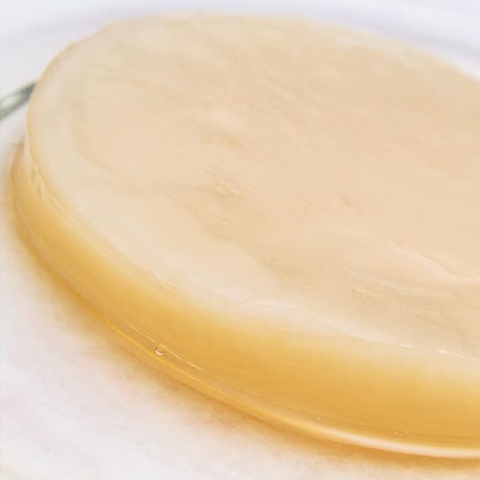 Kombucha.com Certified Organic Kombucha Scoby (Gaia) + SUPER STRONG starter liquid. 8 oz. Makes 1/2 or 1 Gallon. Includes FREE Kombucha.com Organic Mixed Tea Blend Sample.