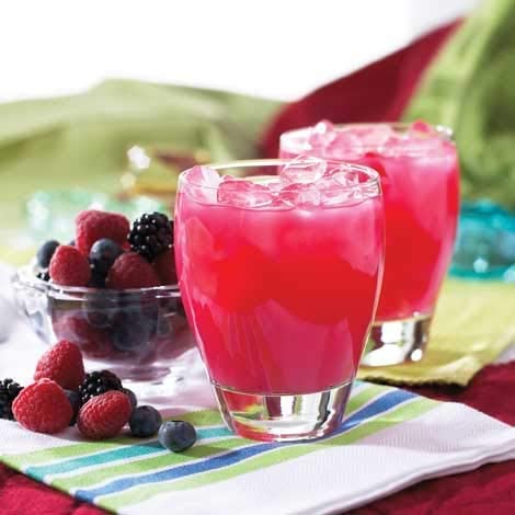 Nutmeg State Nutrition - High Protein Diet Fruit Drink - 15g Protein - Low Calorie - Low Carb - Low Sugar - Fat Free, 7 Servings Per Box (Wild Berry)