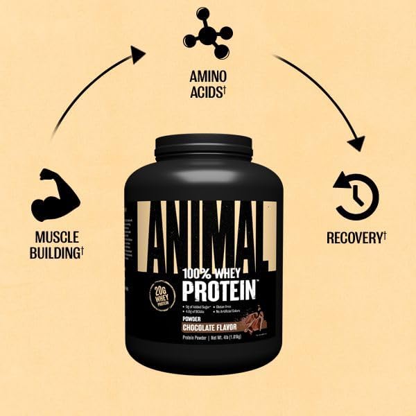 Animal 100% Whey Protein Powder ??Whey Blend for Pre Workout or Post Workout, Recovery, or an Anytime Low Sugar Protein Boost Meal Replacement with BCAA Branched Chain Amino Acids ??Chocolate, 4 lb