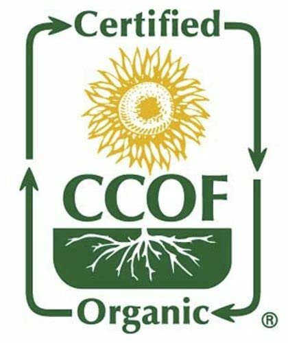 McCabe Organic Roasted Perilla Seeds - Perilla Seeds Organic | Rich with Fiber & Minerals | USDA and CCOF Certified | Packed in USA | 8oz Pack of 3