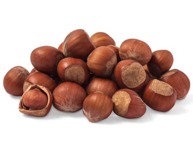 Nuts.com Oregon Hazelnuts in Shell, Filberts 1 lb Bag - Whole Raw Jumbo Hazelnuts - Gourmet, Freshly Harvested, Non-GMO, for Cooking, Baking, and Snacking