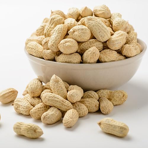 Gurley's Premium Peanuts In-Shell, Fire Roasted & Salted In Shell Peanut, Bulk Party Pack, 10 lb Box ??Dry Roasted Peanuts Salty Snack for Events & Gatherings
