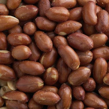 9 oz Can Redskin Virginia Peanuts