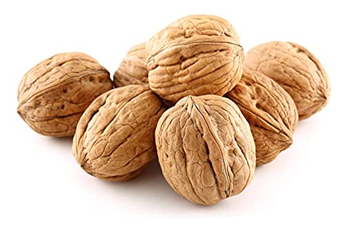 Anna and Sarah Walnuts in Shell, Jumbo, Fresh, Buttery Taste, Easy to Crack, California Chandler, Natural Shells, Not Bleached in Box (9 Lbs)