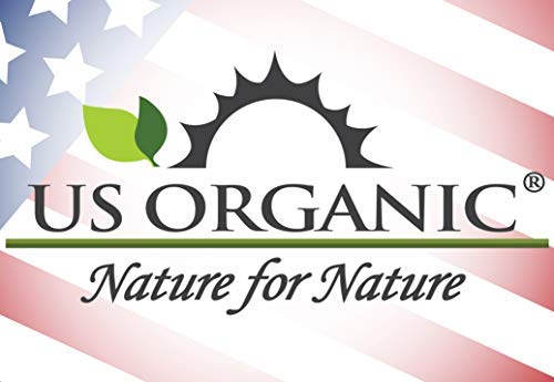 US Organic Ylang Ylang Essential Oil ??100% Pure Complete Grade, USDA Certified, Steam Distilled from Cananga Odorata ??Floral Scent for Diffuser, Perfumery, Skincare ??Sourced from Madagascar, 10ml