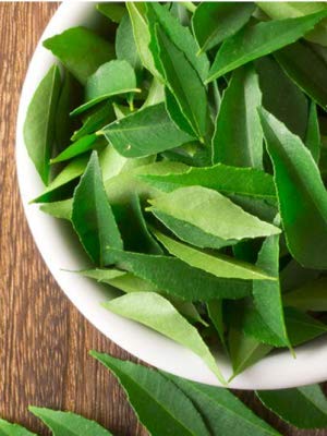 Rani Fresh Curry Leaves 1oz (28g) ~ All Natural | Vegan | Gluten Friendly | NON-GMO | Product of USA