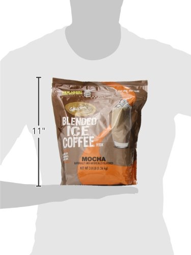 DaVinci Gourmet Mocha Blended Iced Coffee Mix, 3 Pound (Pack of 1)