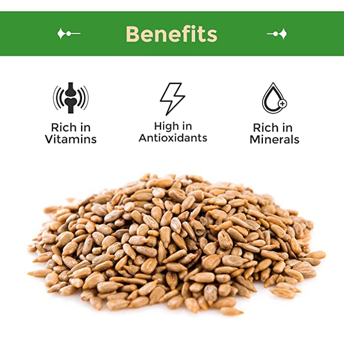 Sincerely Nuts Sunflower Seed Kernels Raw (No Shell) (3lb bag) | Delicious Antioxidant Rich Snack | Source of Protein, Fiber, Essential Vitamins & Minerals | Vegan and Gluten Free