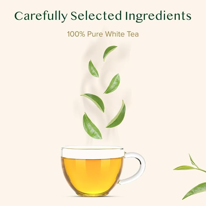 VAHDAM, Imperial Himalayan White Tea Bags (15 Count) Low Caffeine, Non GMO, Gluten Free | Handpicked Harvest From High Elevation Estates | Individually Wrapped Pyramid Tea Bags | Direct from Source