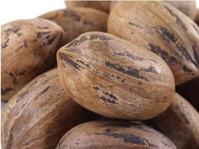Nuts.com Pecans in Shell, 3lb Bag ??Naturally Sweet, Raw, Fresh & Crunchy Nuts in Hard Shell ??High in Fiber, Protein, and Healthy Fats