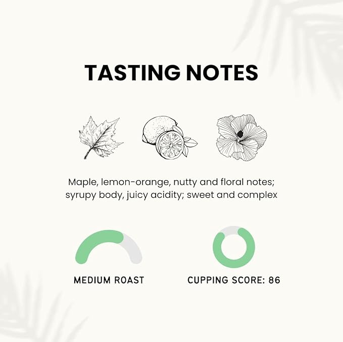 Canopy Point Coffee - Guatemala Medium Roast - 5lb Bag, Freshly Ground, Specialty Small Batch Air Roasted Coffee, Gourmet Medium roast, Arabica Coffee, Coffee Shop Grade (Bulk Ground, 5lbs)
