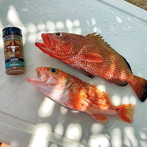 Fish Seasoning | Premium Seafood seasoning w/gourmet spices and natural lemon flavor | Runnin??Wild Foods, 5.7 ounces
