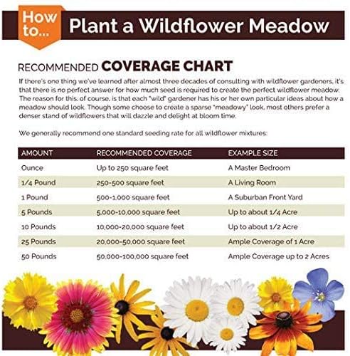 Non GMO Bulk Sunny - Sunflower Seed Mix 2,250 Seeds 10 Species of Wildflower Seeds Helianthus annuus (5 Lbs)