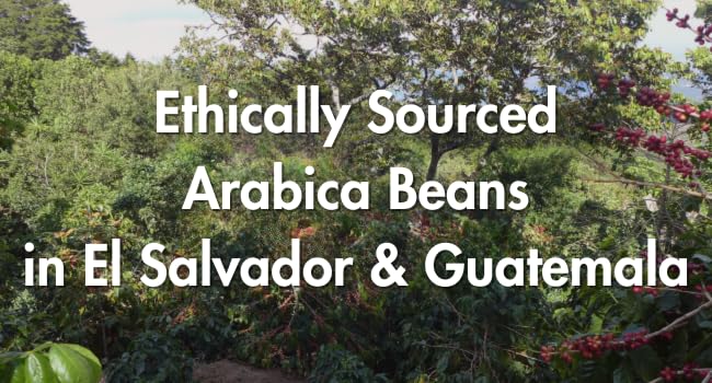 Cafì±?Grumpy Coffee Momentum Blend Whole Arabica Beans, 12oz Bag, Medium Roast, Drip, French Press, Pour Over, Cold Brew (Whole Beans)