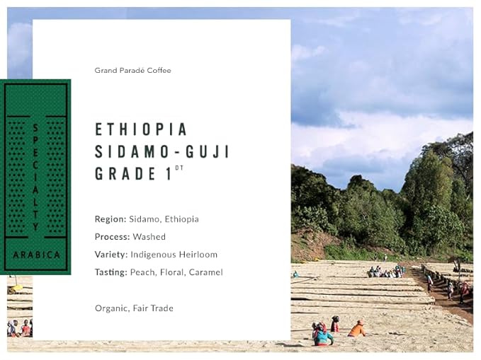 Grand Parade Coffee, 2 Lbs Organic Ethiopian Sidamo Guji Unroasted Green Coffee Beans, Grade 1 Specialty Arabica - Fair Trade Single Origin