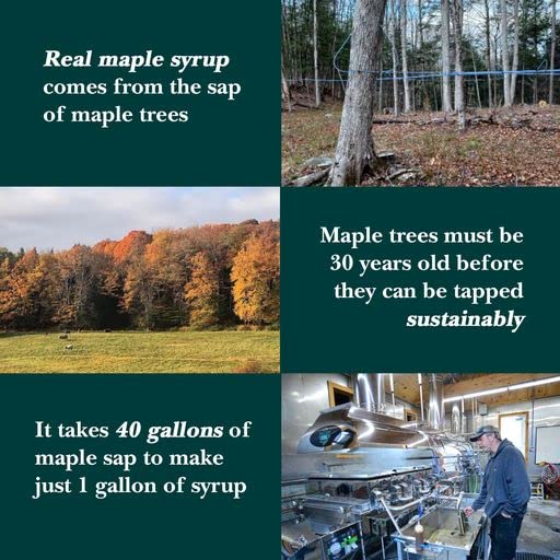 Vermont Maple Syrup - 32 oz Grade A, Dark Robust Organic Maple Syrup - 100% Pure and Authentic Maple Syrup for Pancakes, Waffles and More - Nut free, Gluten Free, Vegan, Paleo