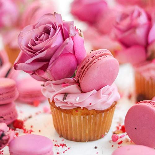 Luster Dust - Dusty Rose (4g 1x Jar) | Edible Vegan Dust & Paint for Cake Decorating, Ice Cream, Desserts, Cocktails and Beverages by Bakell