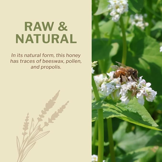 OneRoot Raw Buckwheat Honey - Unheated, Unfiltered and Unprocessed Natural Dark Honey, Rich in Antioxidants Pure Buckwheat (6.6 lbs)