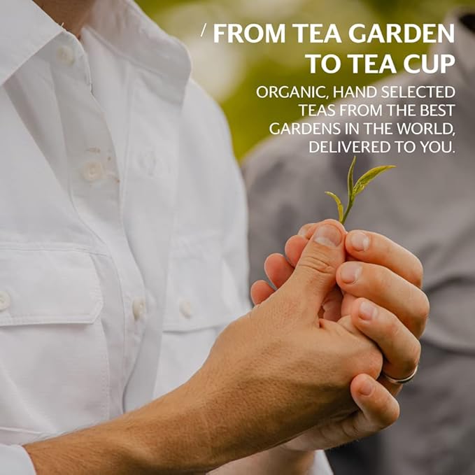 Grace Farms SPEARMINT ROSE ORGANIC ICED TEA (Twelve 1qt. Brew Bags, 3 Gallons) | Refreshing and Spiced, Naturally Sweet Sugar-Free | Easy Cold Brew