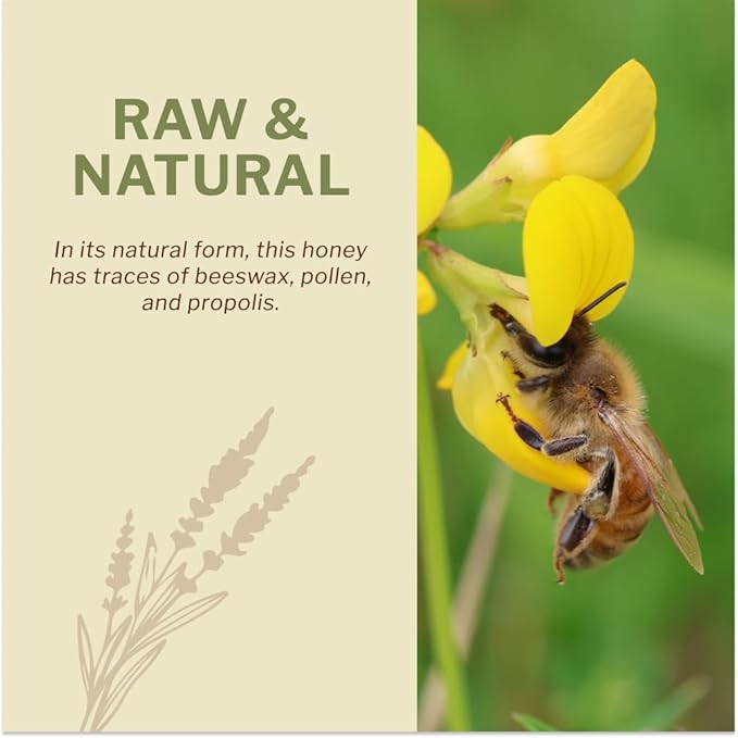 Oneroot 100% Organic Canadian Flower Honey - 17.6 Oz/1.1 Lbs, White Honey Wildflower Unfiltered, Unheated & Creamed, Nutrient Rich Raw Wildflower With Enzymes, Thick Natural Sweetener