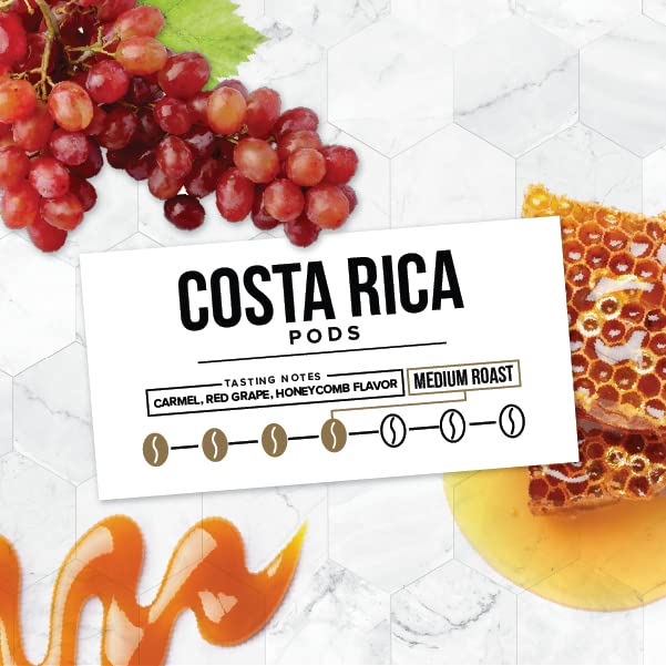 Better Buzz Costa Rica Medium Roast Coffee Pods 12ct., California Solar Energy Produced Recyclable Coffee Pods, Small Batch Roasted Single Origin Coffee, K-Cup Compatible, Life's Better Buzzed