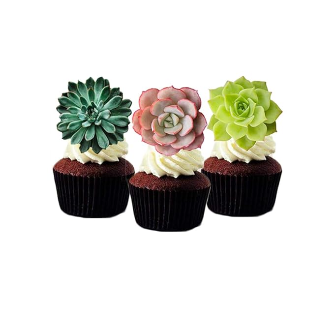 24pcs Edible Cupcake toppers Succulents Hawaiian Party Cake Summer Decoration,Not 3D ??,<div>