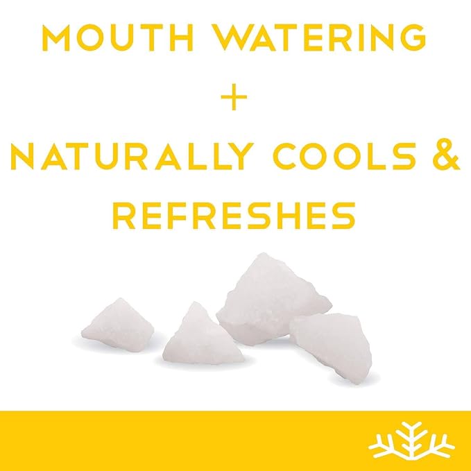SN횠 Lemon & Watermelon Xylitol Candy Chips - SN횠 1LB Bag x 2 - Sugar-Free Candy With Only 2 Ingredients | Pure Birch Xylitol | Low Carbs, Diabetic-Friendly, Non-GMO, Vegan, GF & Kosher