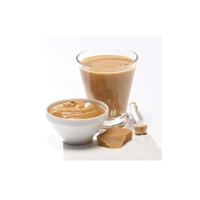 High Protein Pudding/Shake Mix, 15g Protein, Low Calorie, Low Fat, Low Carb, Aspartame Free, Idea Protein Compatible, Meal Replacement, 7 Servings Per Box (Salted Caramel)