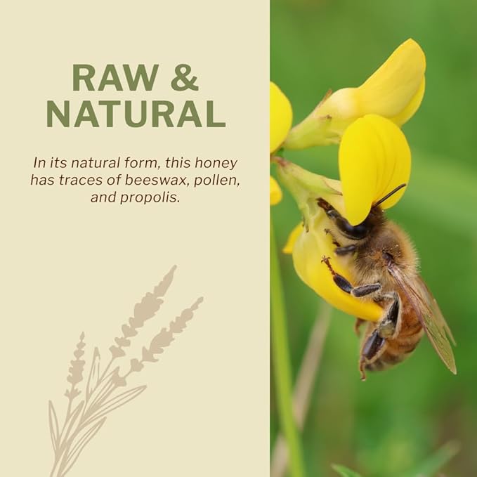 Oneroot 100% Canadian Flower Honey - Honey Wildflower Unfiltered, Unheated & Creamed, Nutrient Rich Raw Wildflower With Enzymes, Thick Natural Sweetener (1.1 lbs)