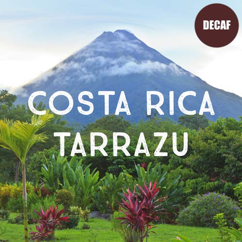 Costa Rica Decaf Tarrazu Coffee, Ground, Swiss Water Processed, Rainforest Certified, Fresh Roasted, 5 lbs