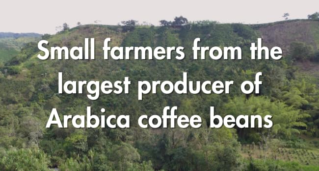 Cafì±?Grumpy Low Acid, Decaf Coffee, Pregnancy Safe, Ground French Press, Medium Roast, Single Origin, Premium Quality, Gentle on Stomach