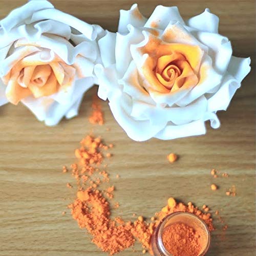 Luster Dust - Classic Orange (4g 1x Jar) | Edible Vegan Dust & Paint for Cake Decorating, Ice Cream, Desserts, Cocktails and Beverages by Bakell