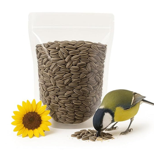 | USA Grown Raw Sunflower Seeds in Shell, 1lb | Unsalted Sunflower Seeds for Birds and for Eating