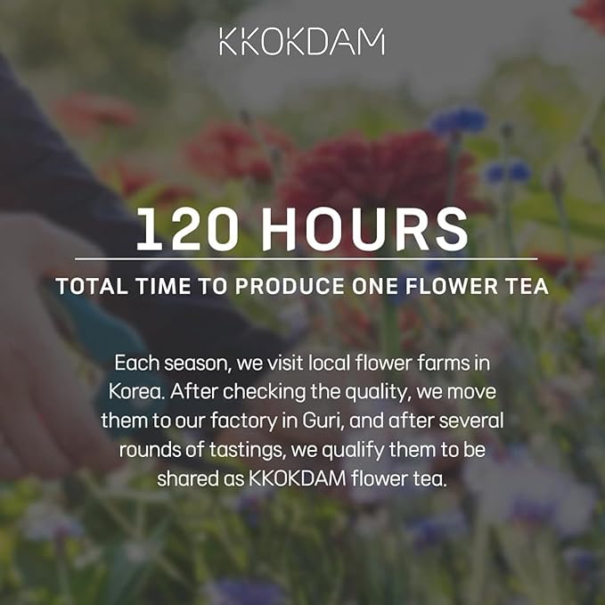 KKOKDAM Kombucha Tea - Orange & Marigold Korean Tea - Kombucha Drinks Probiotic Support, Low Calorie, Sugar Free Kombucha - 15 Packs