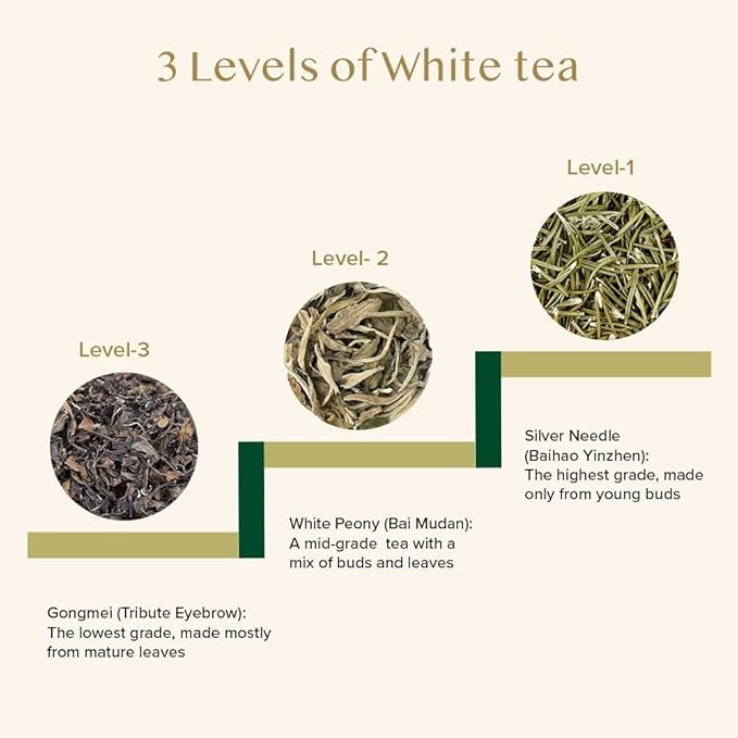 VAHDAM, Silver Pine Needle White Tea Loose Leaf 50g | Caffeine Free, Gluten Free | Pure Unblended Loose Leaf Tea | Vacuum Sealed | Brew As Hot, Iced Or Kombucha Tea