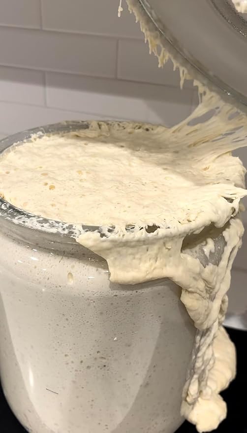 Dehydrated Sourdough Starter by Made With Loave | INCLUDES Recipe | Beginner Friendly | As Seen On TikTok | 5g