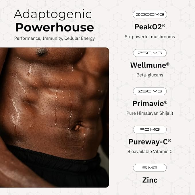 ARC Resilience Mushroom Powder Supplement with Lion?™s Mane, Cordyceps, Reishi, Shilajit, Beta-Glucans, Zinc and Vitamin C for Focus, Energy, Immunity, Performance, and Memory, Chocolate, 30 Servings