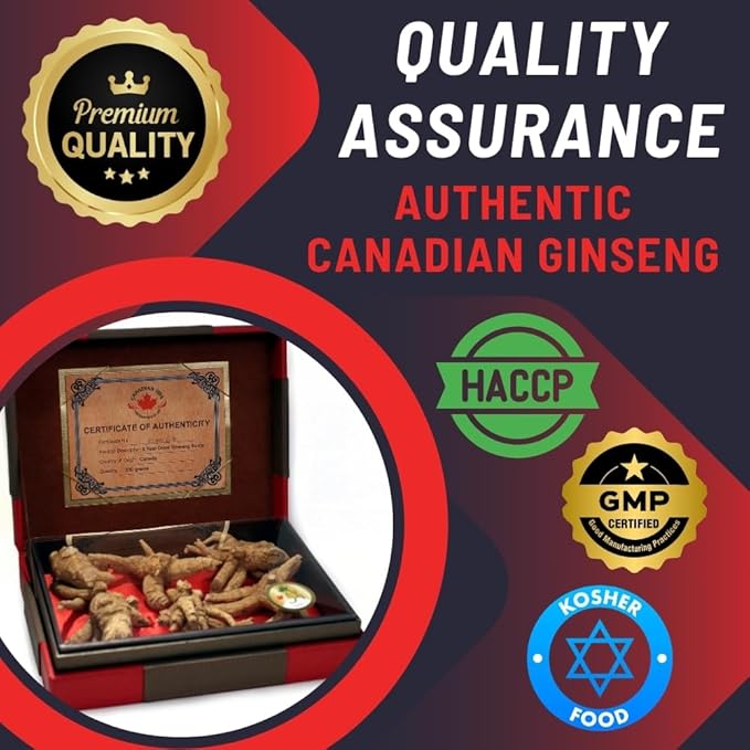 Canadian Vita Ginseng Vietnamese Instant Coffee - Unique Fusion of Canadian Ginseng & Vietnamese Coffee - Rich, Bold & Earthy Flavour - Energy | Focus | Immunity - 10 Sticks