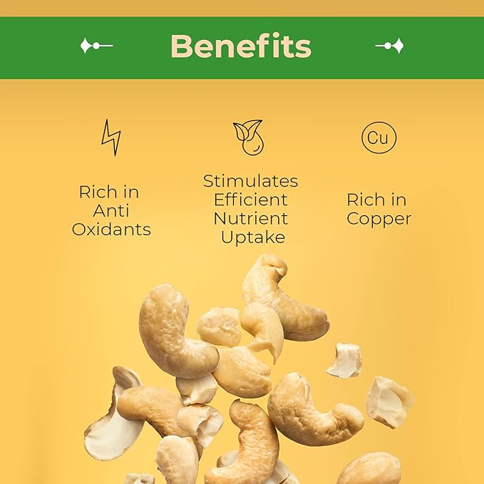 Sincerely Nuts - Raw Cashews Pieces Unsalted | Healthy Snack, Source of Protein | Keto and Paleo Friendly Gourmet Quality Vegan | Organic Cashew Nuts Bulk,1 (LB) Bag