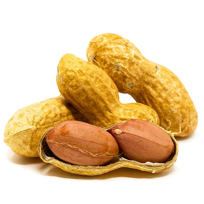 Sky Ecommerce Crazy Nuts | USA Grown Whole in Shell Raw Peanuts for Birds and Squirrels, 10lb | Whole in Shell Peanuts for Birds, Animal Peanuts in The Shell, Bird Peanuts in Shell Unsalted Wildlife
