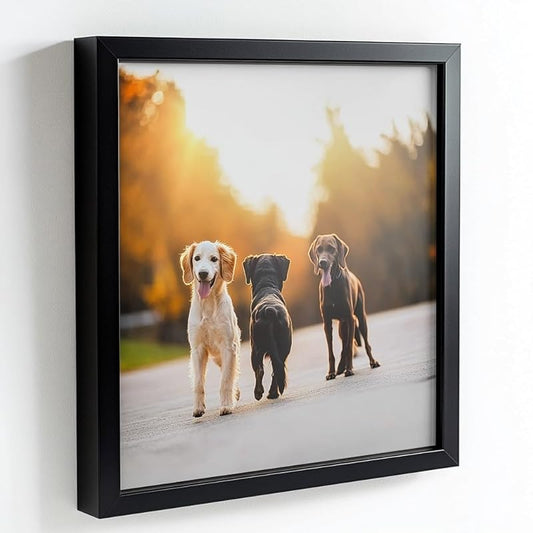 32x44 Black Picture Frames - Ready to Hang Solid Pine Wood Poster Frame - Photo Frame Polished Glass Front Clear Plexiglass Display Photograph - Hanging Hardware Included - Home wall Decor - 32 x 44