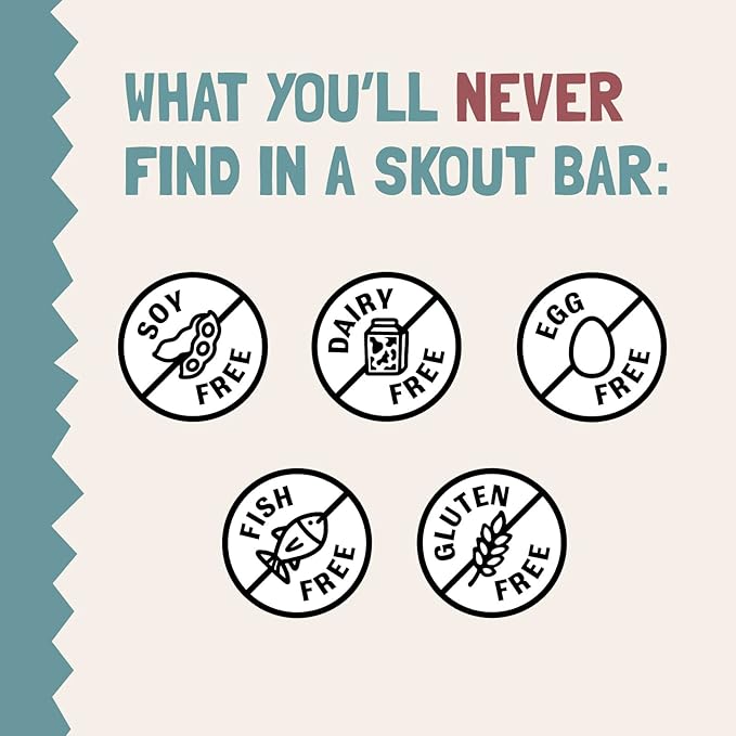 Skout Organic Dessert Inspired Kids Snack Bar Variety Pack (18 Pack) | Organic Kids Snack Bars | School Snacks & Lunch Snacks | Vegan & Paleo | Gluten, Dairy, Grain Free??,<div>