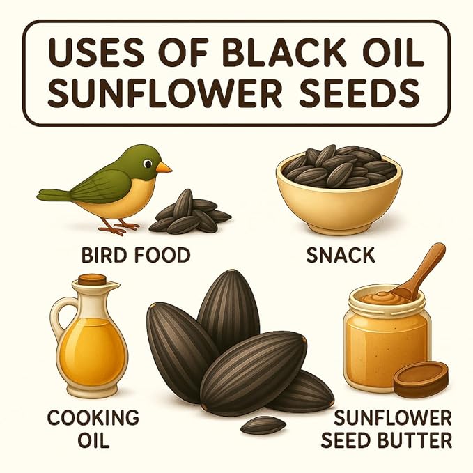 Crazy Nuts | Black Oil Sunflower Seeds for Birds, 10lb | Black Sunflower Seeds for Birds, Sunflower Bird Seed, Wild Bird Feed
