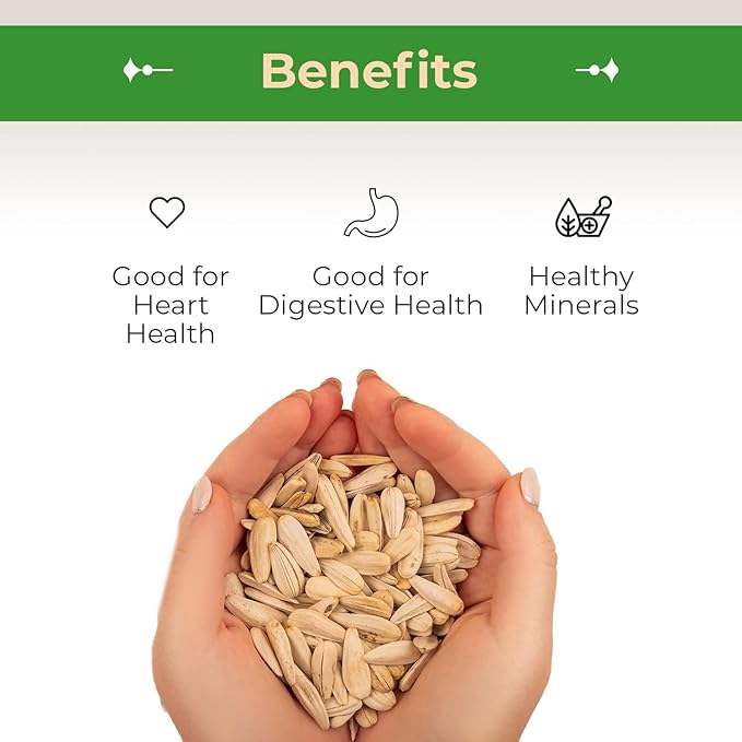 Sincerely Nuts Organic Sunflower Seed Kernels Raw (No Shell) (3lb bag) | Nutritious Antioxidant Rich Superfood Snack | Source of Protein, Fiber, Essential Vitamins & Minerals | Vegan and Gluten Free